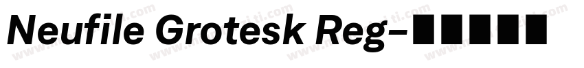 Neufile Grotesk Reg字体转换